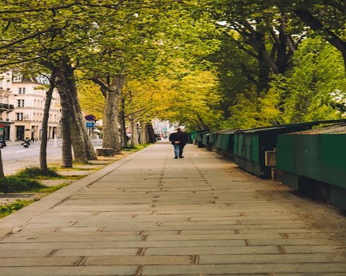 Person wearing walking shoes strolling on a clean sidewalk surrounded by trees green environment